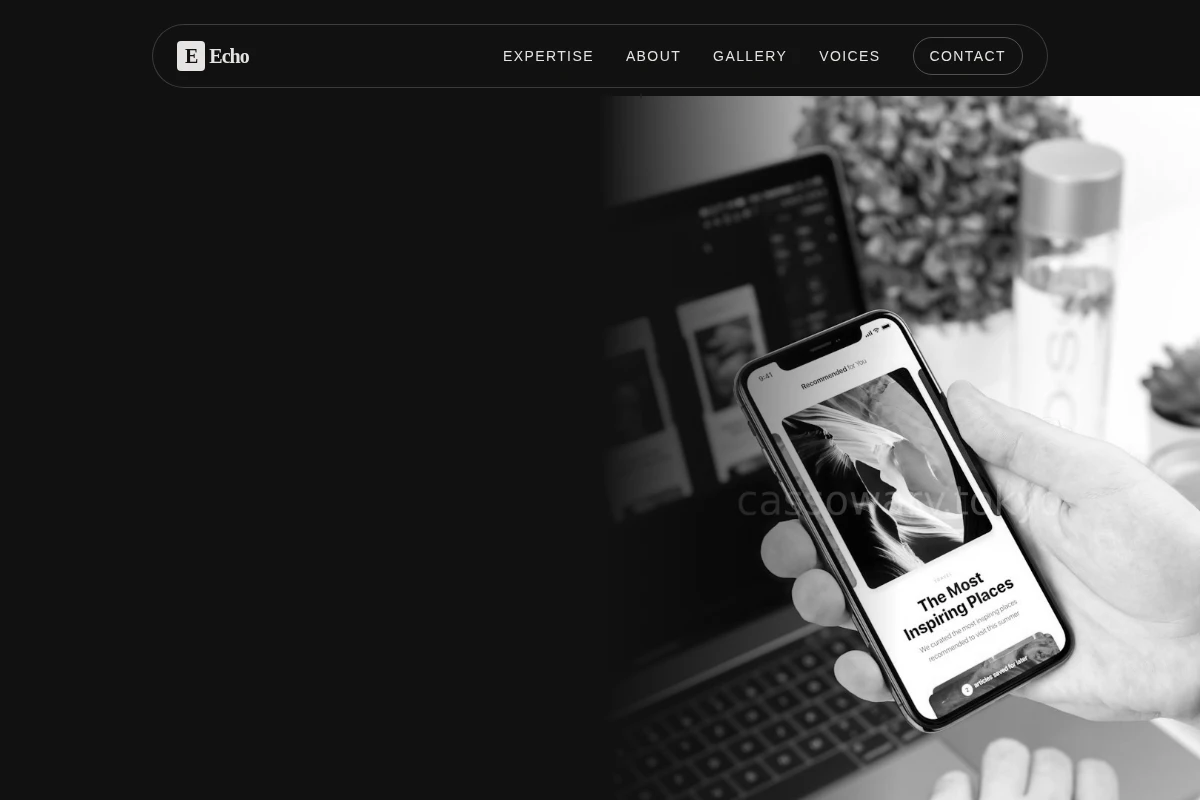 Echo Product Design